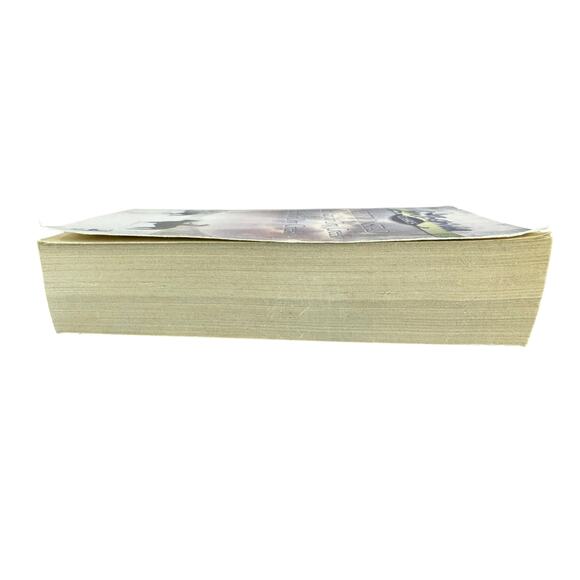 A Rich Man for Dry Creek by Janet Tronstad (Paperback) - Picture 5 of 6